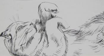 ������� ������ ����������. ���������