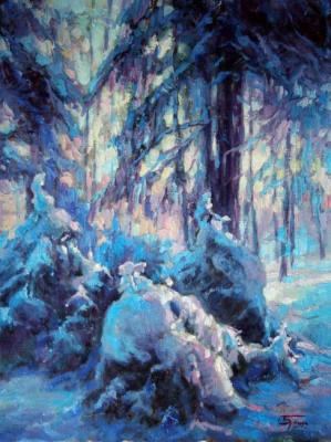 Winter's Tale. Bochmanov Sergey