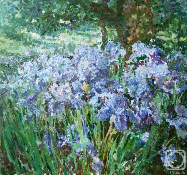 ������� ������ �� ������. ��������� �������. �����