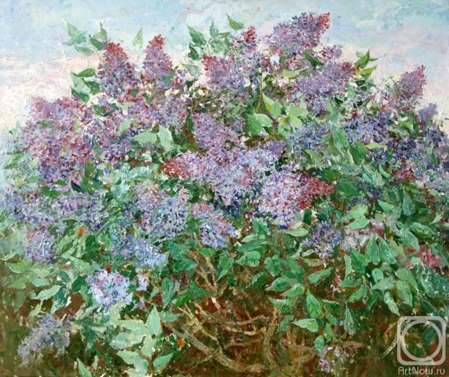 �������. ��������� �������. 043 ���� ������