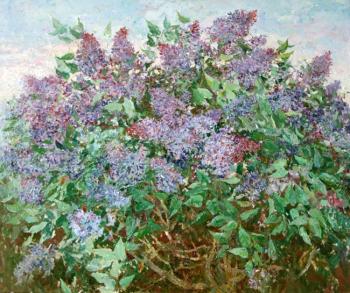 043 Lilac bush. Balandina Ludmila