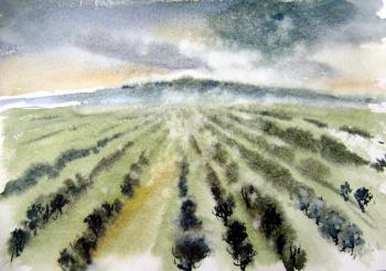 ������� ���� �������