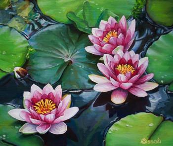 Pond with water-lilies (Closeup). Assoli Natalia