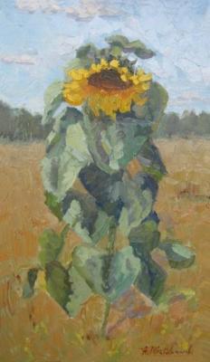 Sunflower. Shtylkin Alik