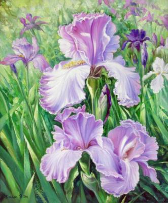 Irises. Zhaldak Edward