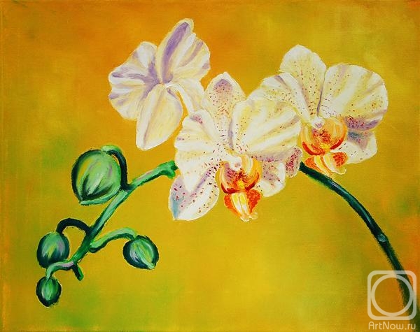 Tululay Alexey. Orchid