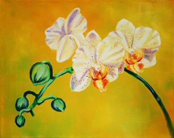 Orchid. Tululay Alexey