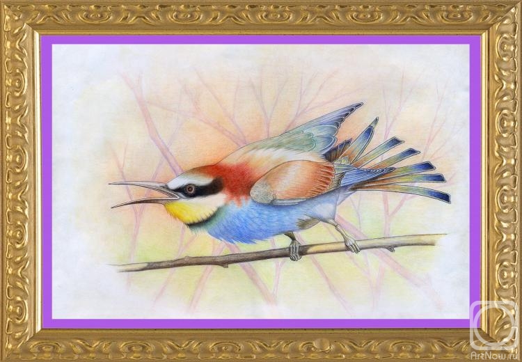 �������. ���������� ��������. ������� ��� ��������