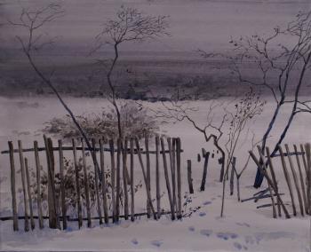 Winter night. Shanin Vladimir