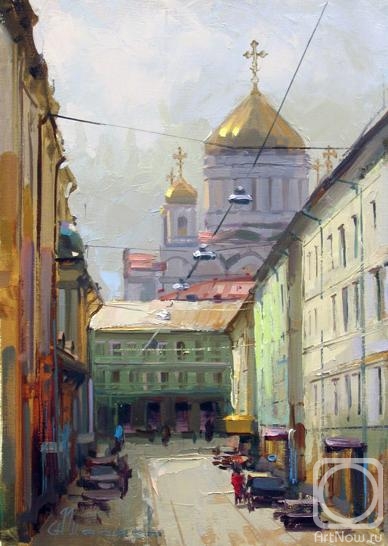 Shalaev Alexey. Swan lane