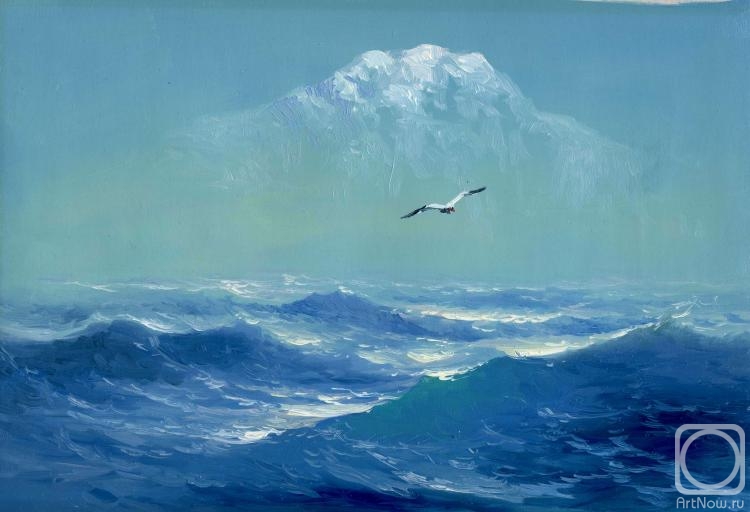 Koval Vladimir. Seagull over the Northern Sea