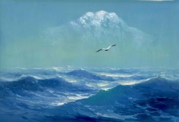 Seagull over the Northern Sea. Koval Vladimir