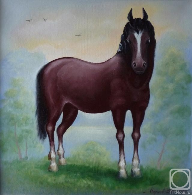 ������� ������ �� ������. ������ ��������. ����