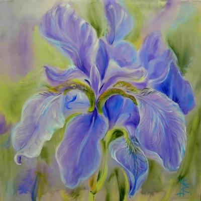 Iris. The Color of the Heavens