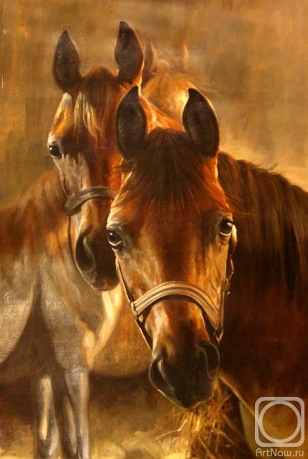 Bruno Augusto. Horses