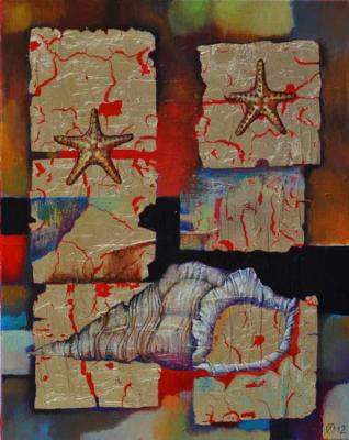 Sea Shell from the island Koh Hong