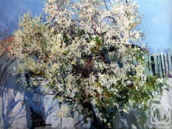 ������� ������ �� ������. ĸ��� ������. ������