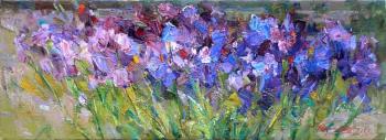 Irises. Marmanov Roman