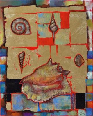 Sea Shells from the Island Khao Khien