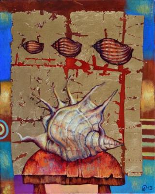 Sea Shells from the Island Koh Panyee