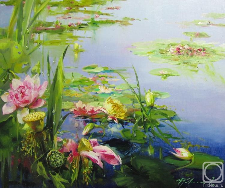 Fedorova Irina. Lotus backwater