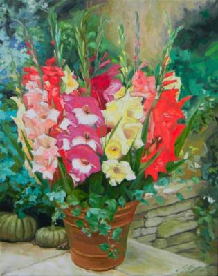 Gladioli