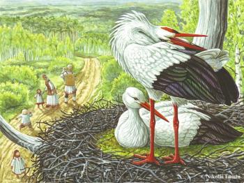 White stork. Fomin Nikolay