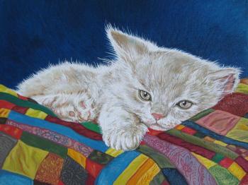 ������� ���������