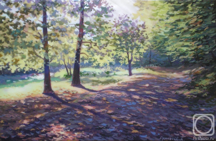 Kurnosov Andrey. � 12