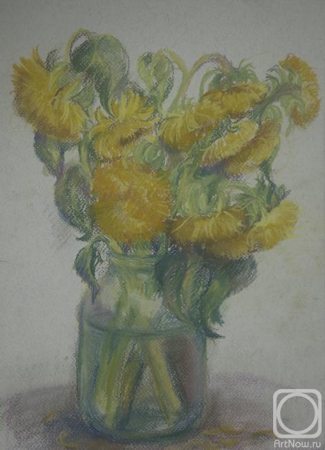 Kalmykova Yulia. Sunflowers