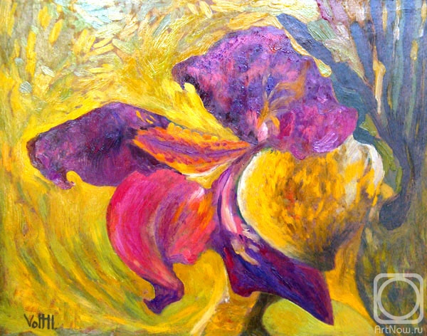 �������. ���� �������. ���� � ����