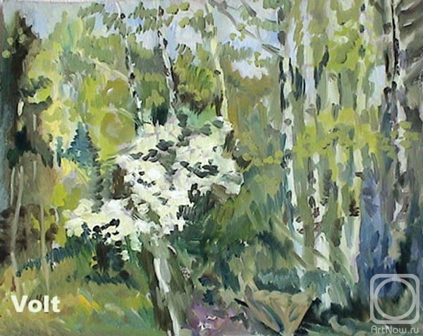 �������. ���� �������. �������� ���