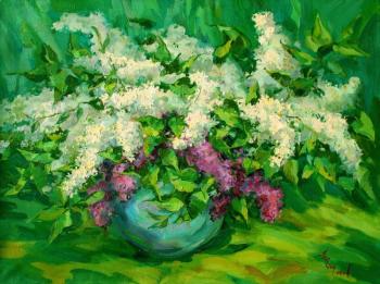 Lilac bush. The breath of spring. Mirgorod Igor