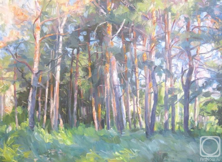 Voronov Vladimir. Pines in the rays of the sun