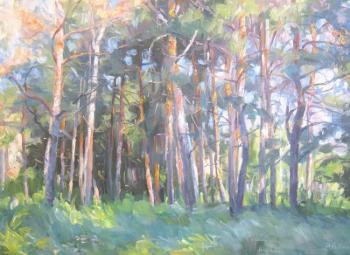Pines in the rays of the sun. Voronov Vladimir