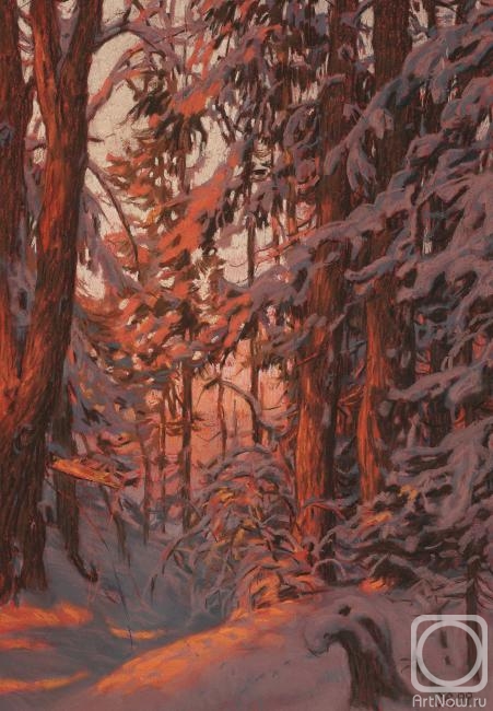 Efoshkin Sergey. Sunset in the winter forest