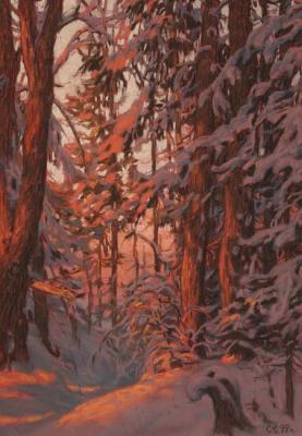 Sunset in the winter forest. Efoshkin Sergey