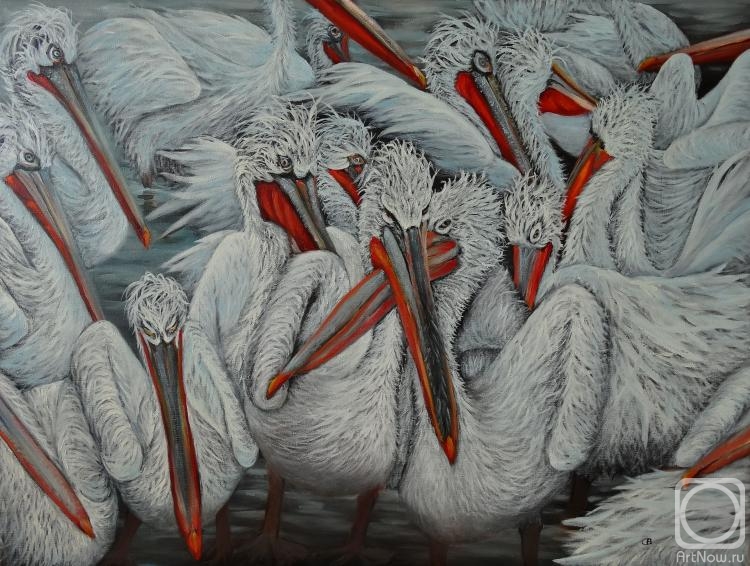 ������� ������ �� ������. �������� ��������. ���� � �����