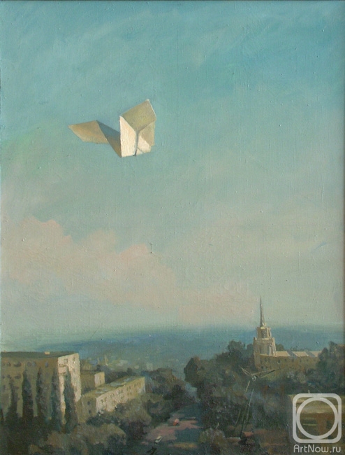 Kuznetsov Evgeny. Flying over the city