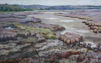 ������� ���������� ����