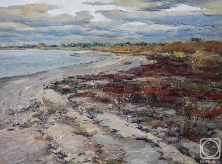 Vyrvich Valentin. Sand of the estuaries