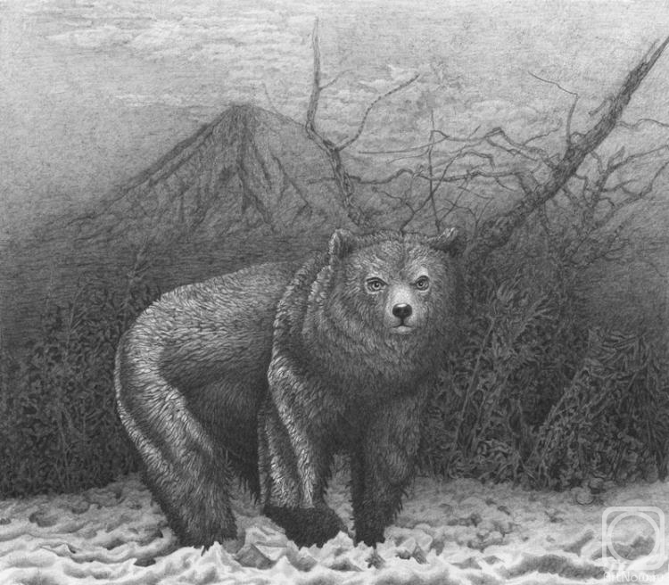 �������. ��������� ���������. �������