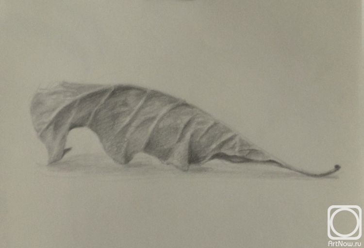 �������. ���������� �����. �������� ����