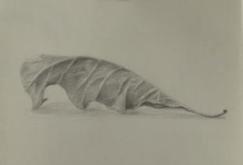 ������� ��������� ����