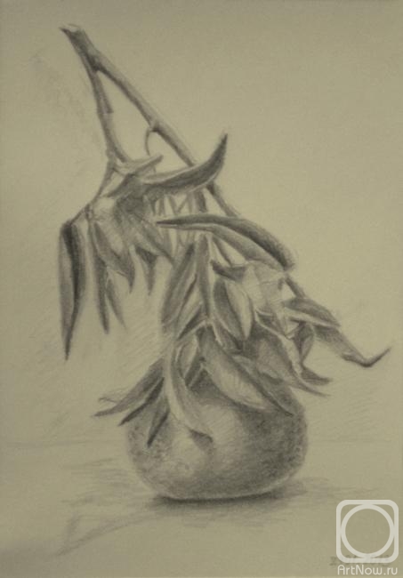 �������. ���������� �����. ��������