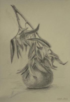 ������� ����������