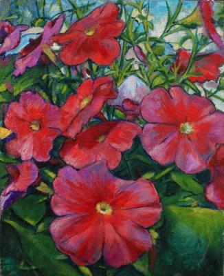 ���� ����. �������� �������