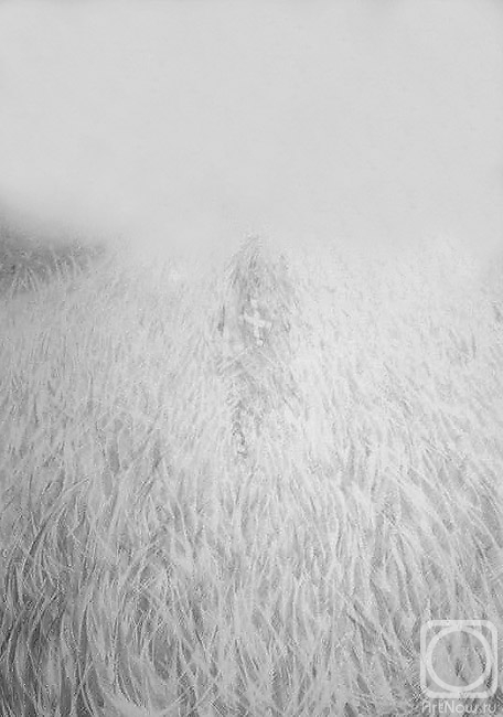 �������. ������� �����. ������ ������