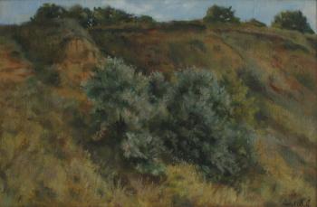 ������� ������