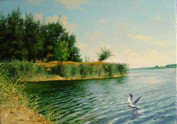 Landscape with seagull. Litvinenko Gennadiy